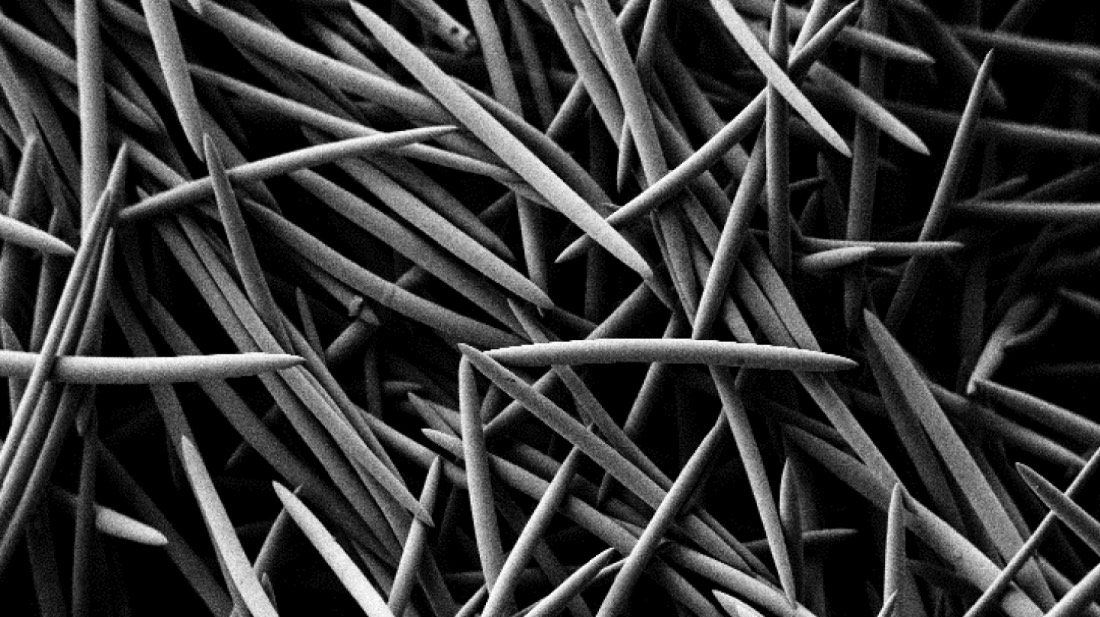 ホワイトスピキュール