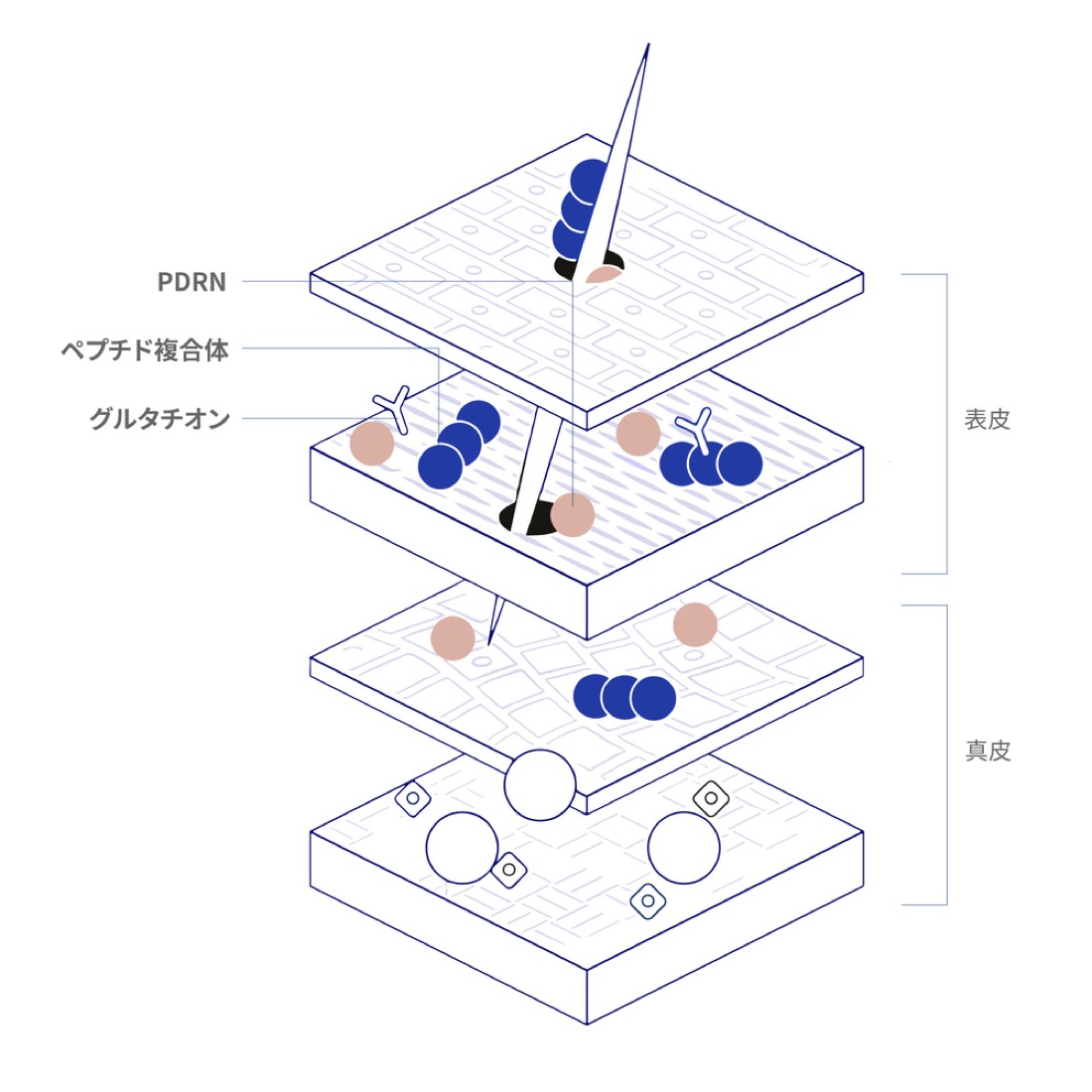 雪花ピールの仕組み図